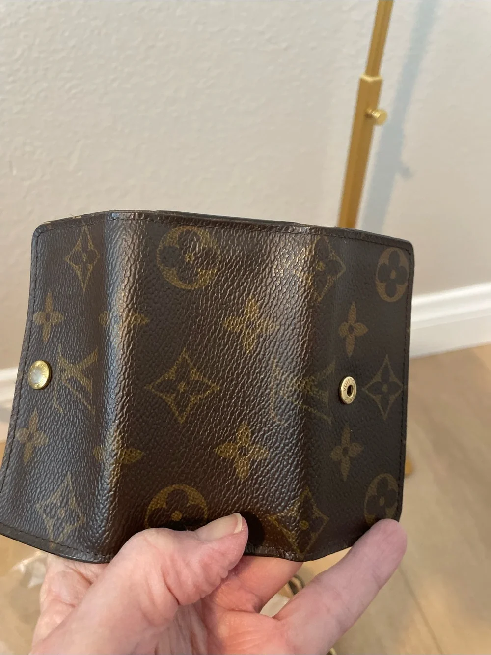 Louis Vuitton classic louis